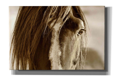 Image of 'Amante' by Lisa Dearing, Giclee Canvas Wall Art