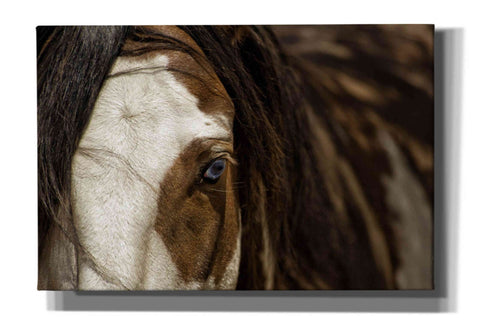 Image of 'Blue' by Lisa Dearing, Giclee Canvas Wall Art