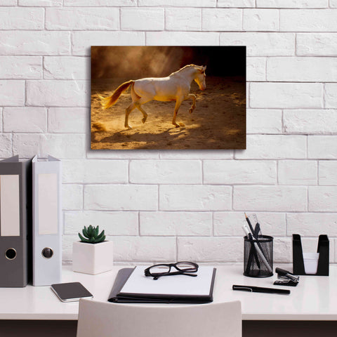 Image of 'Dancing In The Light' by Lisa Dearing, Giclee Canvas Wall Art,18x12