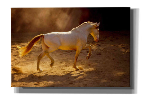 Image of 'Dancing In The Light' by Lisa Dearing, Giclee Canvas Wall Art