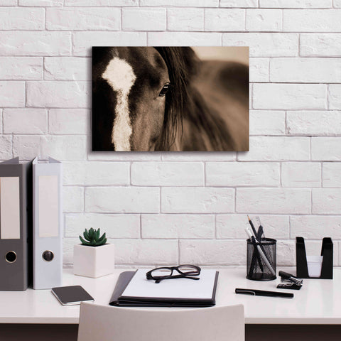 Image of 'Dark Eyes' by Lisa Dearing, Giclee Canvas Wall Art,18x12