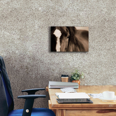 Image of 'Dark Eyes' by Lisa Dearing, Giclee Canvas Wall Art,18x12