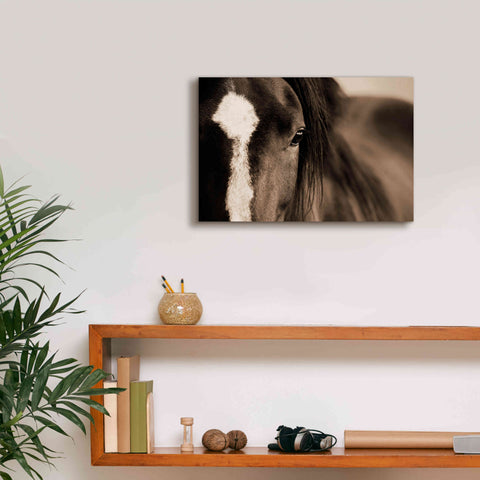 Image of 'Dark Eyes' by Lisa Dearing, Giclee Canvas Wall Art,18x12