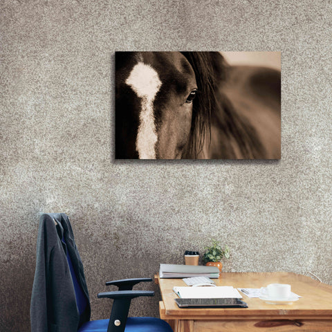 Image of 'Dark Eyes' by Lisa Dearing, Giclee Canvas Wall Art,40x26