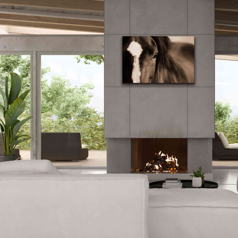 Image of 'Dark Eyes' by Lisa Dearing, Giclee Canvas Wall Art,40x26