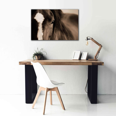 Image of 'Dark Eyes' by Lisa Dearing, Giclee Canvas Wall Art,40x26