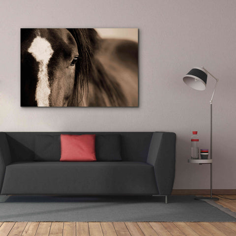 Image of 'Dark Eyes' by Lisa Dearing, Giclee Canvas Wall Art,60x40