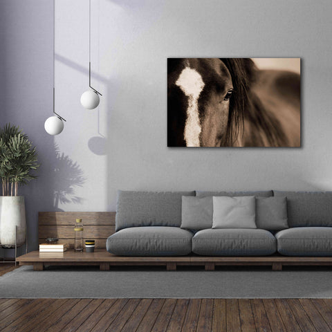 Image of 'Dark Eyes' by Lisa Dearing, Giclee Canvas Wall Art,60x40