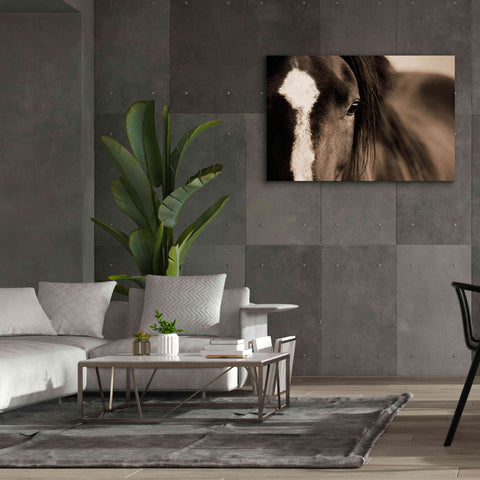 Image of 'Dark Eyes' by Lisa Dearing, Giclee Canvas Wall Art,60x40