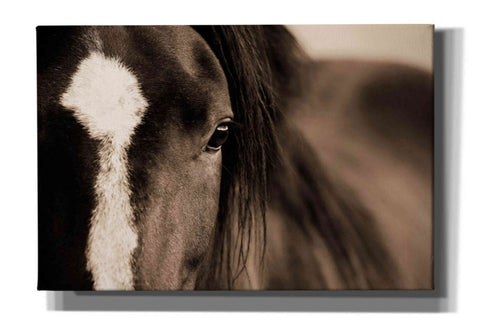 Image of 'Dark Eyes' by Lisa Dearing, Giclee Canvas Wall Art
