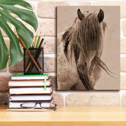 Image of 'Freedom' by Lisa Dearing, Giclee Canvas Wall Art,12x16