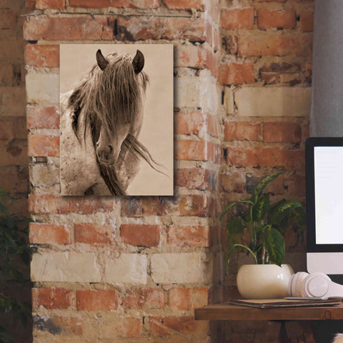 Image of 'Freedom' by Lisa Dearing, Giclee Canvas Wall Art,12x16