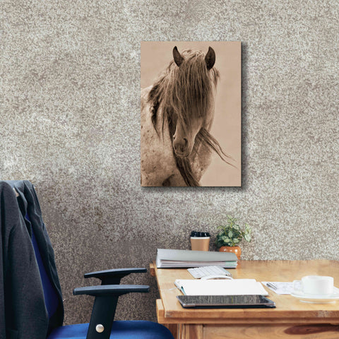 Image of 'Freedom' by Lisa Dearing, Giclee Canvas Wall Art,18x26