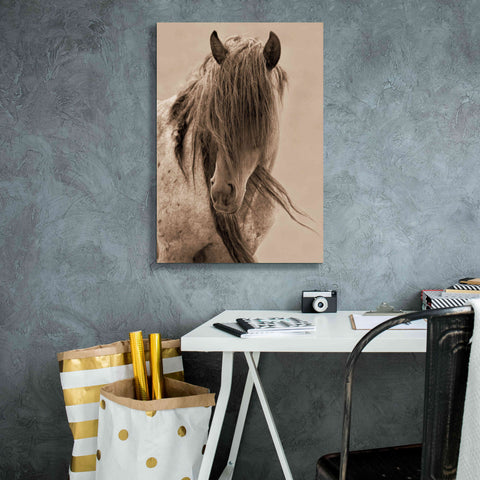 Image of 'Freedom' by Lisa Dearing, Giclee Canvas Wall Art,18x26