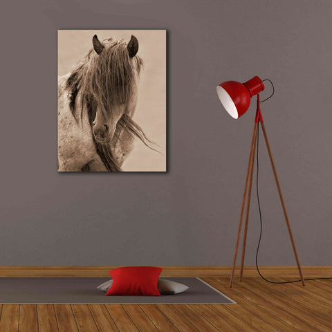 Image of 'Freedom' by Lisa Dearing, Giclee Canvas Wall Art,26x34