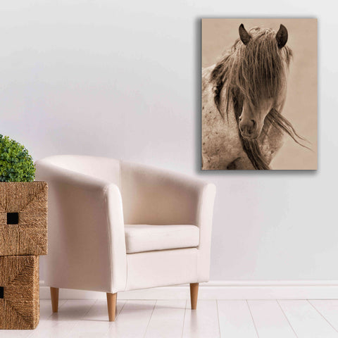 Image of 'Freedom' by Lisa Dearing, Giclee Canvas Wall Art,26x34