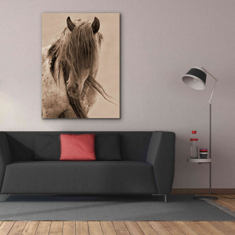 Image of 'Freedom' by Lisa Dearing, Giclee Canvas Wall Art,40x54