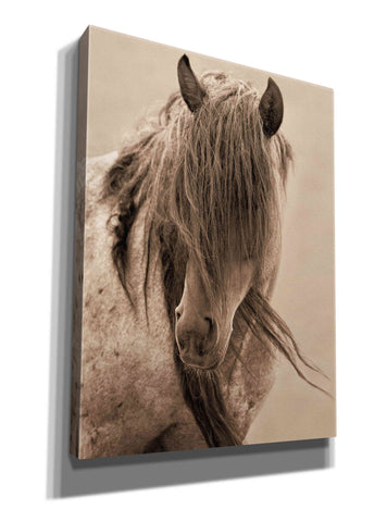 Image of 'Freedom' by Lisa Dearing, Giclee Canvas Wall Art