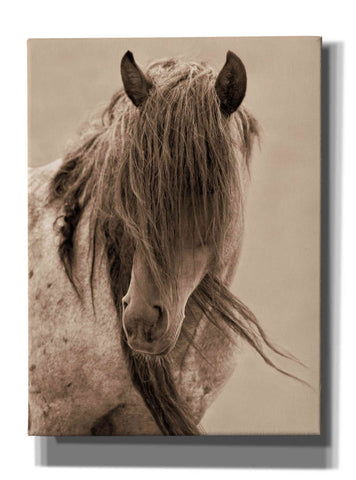 Image of 'Freedom' by Lisa Dearing, Giclee Canvas Wall Art