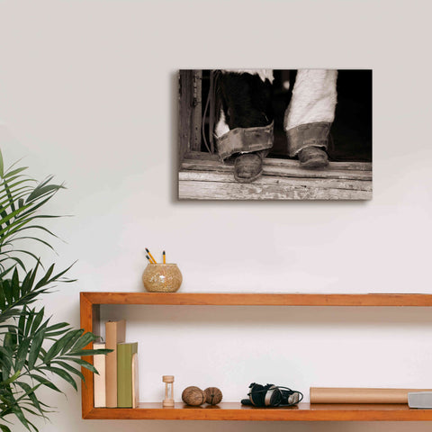 Image of 'Furry Chaps' by Lisa Dearing, Giclee Canvas Wall Art,18x12