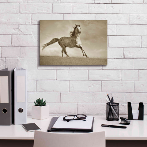 Image of 'Like the Wind' by Lisa Dearing, Giclee Canvas Wall Art,18x12