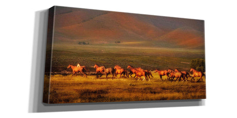 Image of 'Montana Dreaming' by Lisa Dearing, Giclee Canvas Wall Art