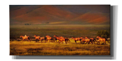 Image of 'Montana Dreaming' by Lisa Dearing, Giclee Canvas Wall Art