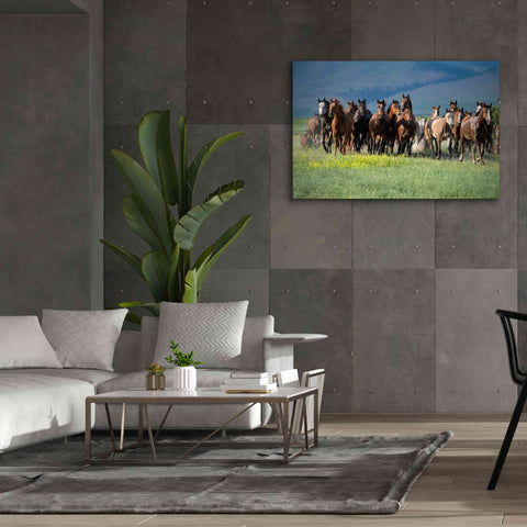 Image of 'Montana Thunder' by Lisa Dearing, Giclee Canvas Wall Art,60x40