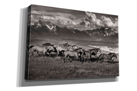 Image of 'Mountain Range Mavericks' by Lisa Dearing, Giclee Canvas Wall Art