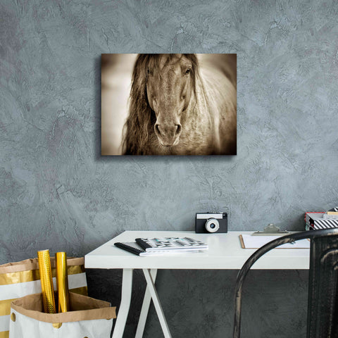 Image of 'Mustang Sally' by Lisa Dearing, Giclee Canvas Wall Art,16x12