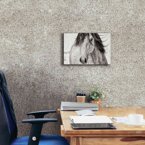 Image of 'My Beautiful Mane' by Lisa Dearing, Giclee Canvas Wall Art,18x12