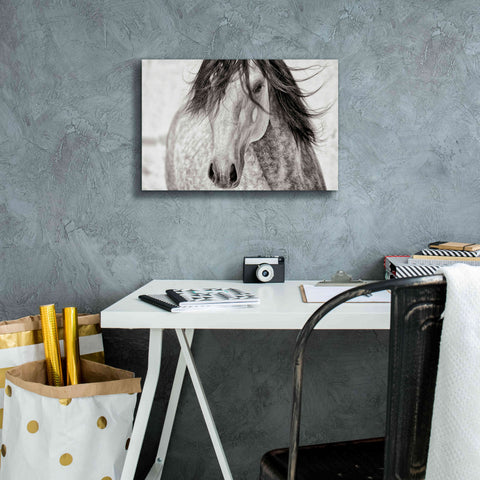 Image of 'My Beautiful Mane' by Lisa Dearing, Giclee Canvas Wall Art,18x12