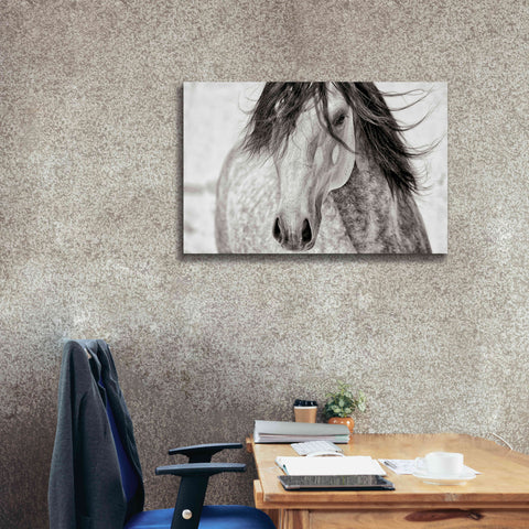 Image of 'My Beautiful Mane' by Lisa Dearing, Giclee Canvas Wall Art,40x26