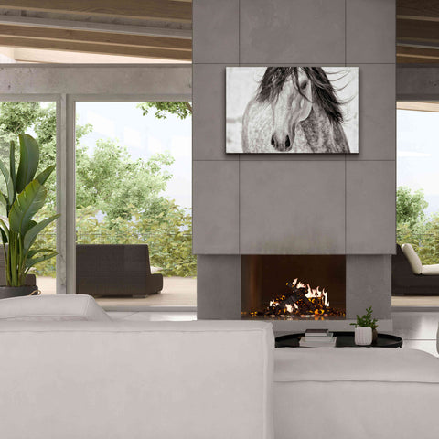 Image of 'My Beautiful Mane' by Lisa Dearing, Giclee Canvas Wall Art,40x26