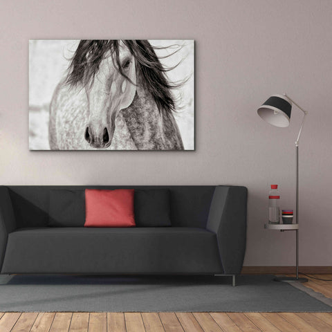 Image of 'My Beautiful Mane' by Lisa Dearing, Giclee Canvas Wall Art,60x40