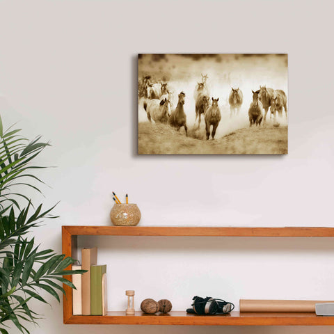Image of 'San Cristobol Horses' by Lisa Dearing, Giclee Canvas Wall Art,18x12
