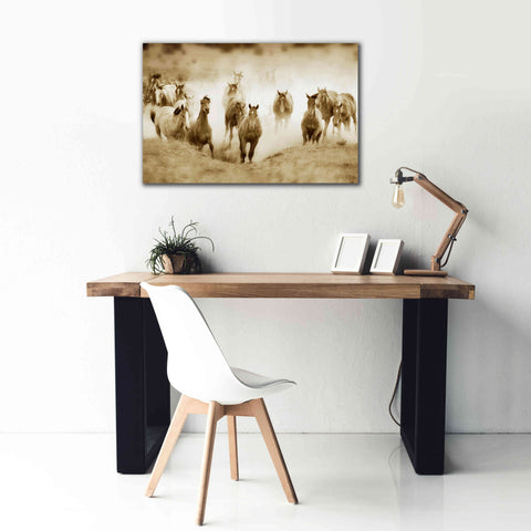 Image of 'San Cristobol Horses' by Lisa Dearing, Giclee Canvas Wall Art,40x26
