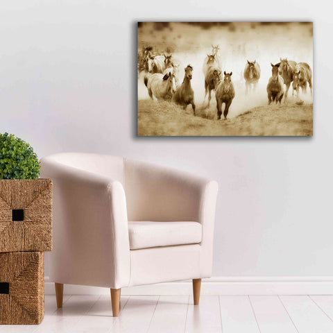 Image of 'San Cristobol Horses' by Lisa Dearing, Giclee Canvas Wall Art,40x26