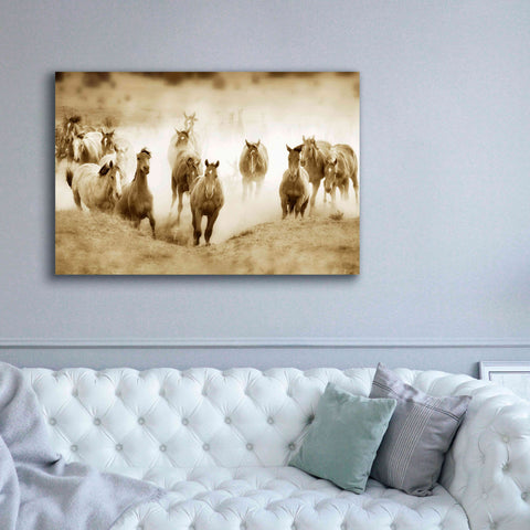 Image of 'San Cristobol Horses' by Lisa Dearing, Giclee Canvas Wall Art,60x40