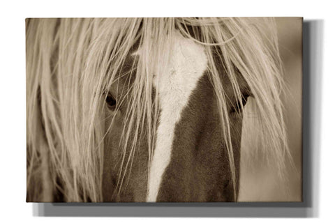 Image of 'The Blonde' by Lisa Dearing, Giclee Canvas Wall Art