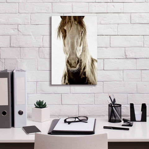 Image of 'Wilbur Cruz' by Lisa Dearing, Giclee Canvas Wall Art,12x18