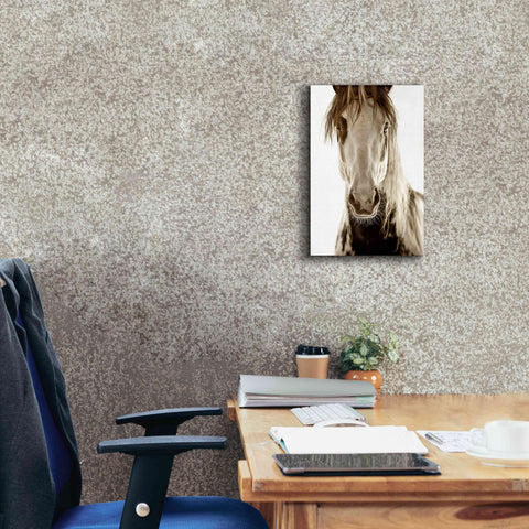 Image of 'Wilbur Cruz' by Lisa Dearing, Giclee Canvas Wall Art,12x18