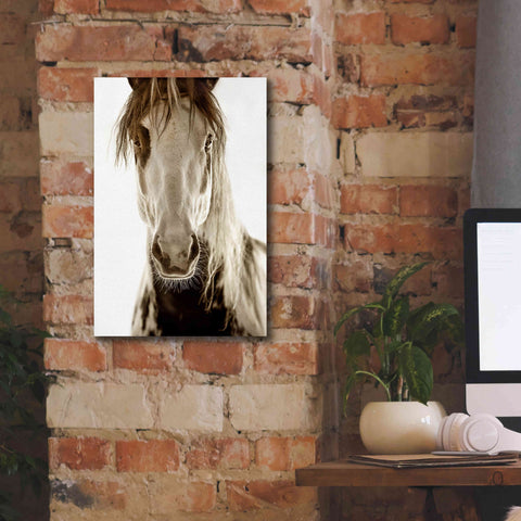 Image of 'Wilbur Cruz' by Lisa Dearing, Giclee Canvas Wall Art,12x18