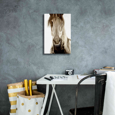 Image of 'Wilbur Cruz' by Lisa Dearing, Giclee Canvas Wall Art,12x18