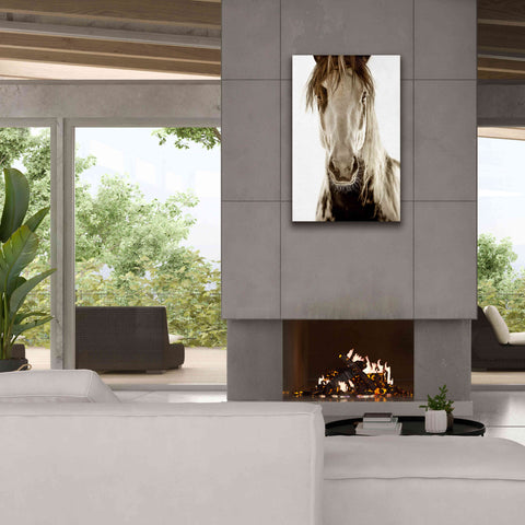 Image of 'Wilbur Cruz' by Lisa Dearing, Giclee Canvas Wall Art,26x40