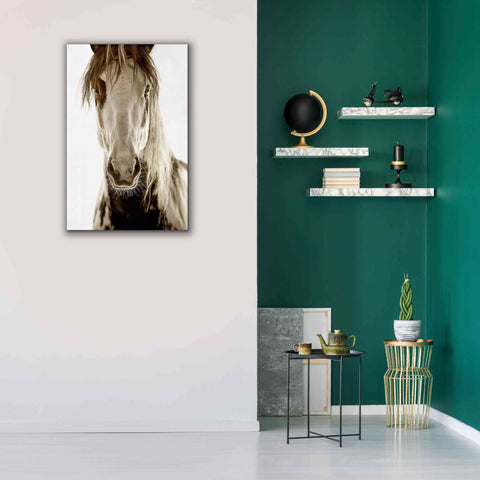 Image of 'Wilbur Cruz' by Lisa Dearing, Giclee Canvas Wall Art,26x40