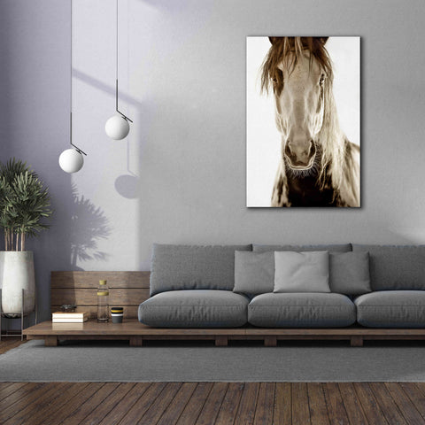 Image of 'Wilbur Cruz' by Lisa Dearing, Giclee Canvas Wall Art,40x60
