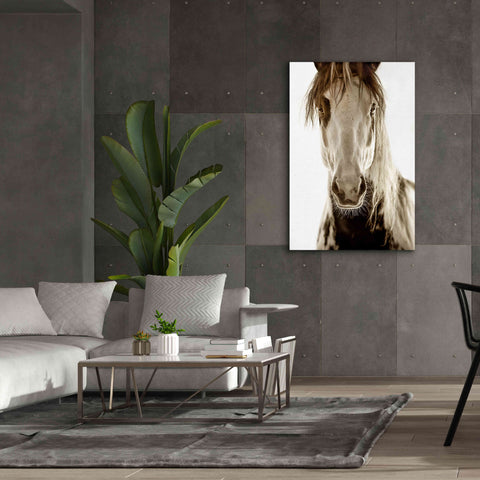 Image of 'Wilbur Cruz' by Lisa Dearing, Giclee Canvas Wall Art,40x60