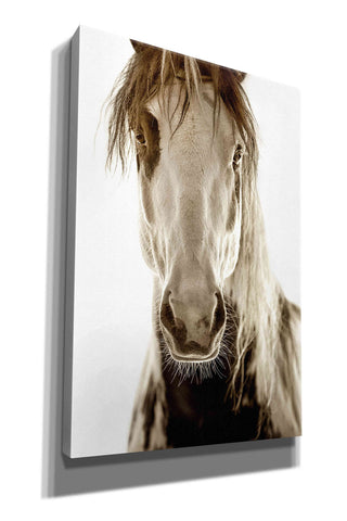 Image of 'Wilbur Cruz' by Lisa Dearing, Giclee Canvas Wall Art