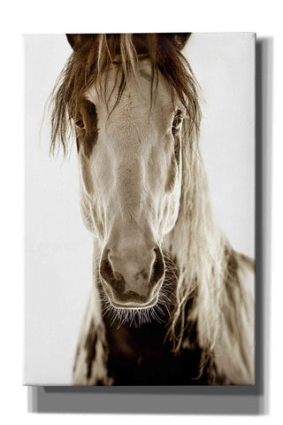 Image of 'Wilbur Cruz' by Lisa Dearing, Giclee Canvas Wall Art